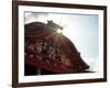 Shuri Castle-null-Framed Photographic Print