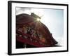 Shuri Castle-null-Framed Photographic Print