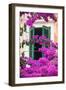 Shuttered Window and Blossom-Frank Fell-Framed Premium Photographic Print