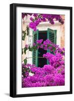 Shuttered Window and Blossom-Frank Fell-Framed Premium Photographic Print