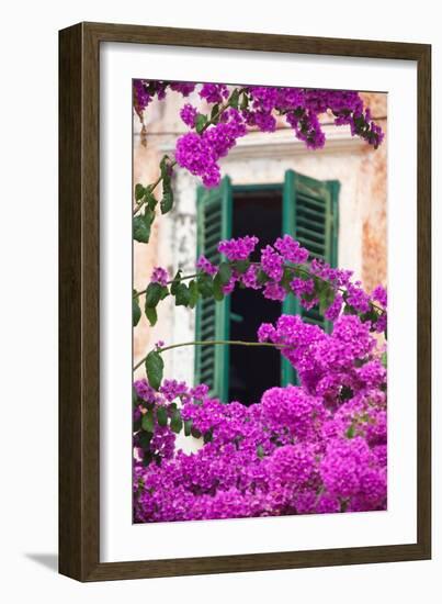 Shuttered Window and Blossom-Frank Fell-Framed Photographic Print