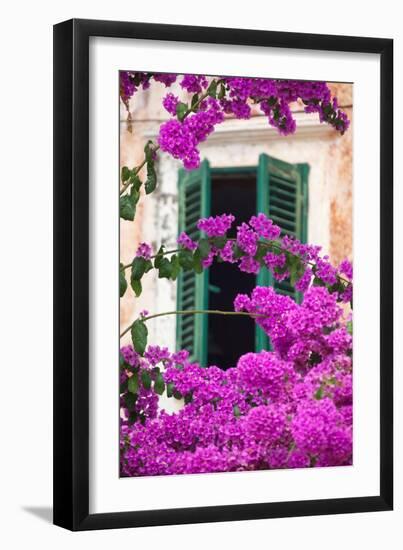 Shuttered Window and Blossom-Frank Fell-Framed Photographic Print