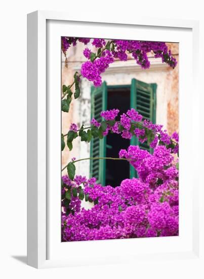 Shuttered Window and Blossom-Frank Fell-Framed Photographic Print