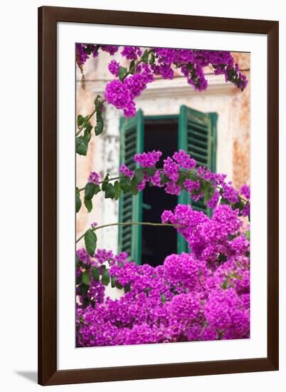 Shuttered Window and Blossom-Frank Fell-Framed Photographic Print