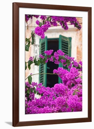 Shuttered Window and Blossom-Frank Fell-Framed Photographic Print