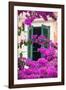 Shuttered Window and Blossom-Frank Fell-Framed Photographic Print