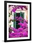 Shuttered Window and Blossom-Frank Fell-Framed Photographic Print