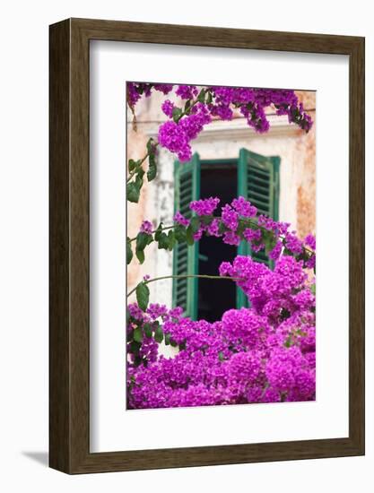 Shuttered Window and Blossom-Frank Fell-Framed Premium Photographic Print