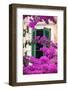 Shuttered Window and Blossom-Frank Fell-Framed Premium Photographic Print