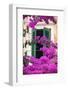 Shuttered Window and Blossom-Frank Fell-Framed Premium Photographic Print