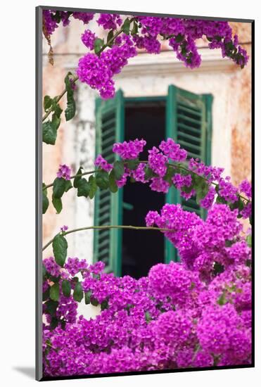Shuttered Window and Blossom-Frank Fell-Mounted Premium Photographic Print
