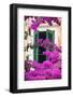 Shuttered Window and Blossom-Frank Fell-Framed Photographic Print