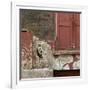 Shuttered Window and Peeling Paint, Spitalfields, London-Richard Bryant-Framed Photographic Print