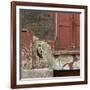 Shuttered Window and Peeling Paint, Spitalfields, London-Richard Bryant-Framed Photographic Print