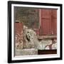 Shuttered Window and Peeling Paint, Spitalfields, London-Richard Bryant-Framed Photographic Print