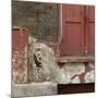 Shuttered Window and Peeling Paint, Spitalfields, London-Richard Bryant-Mounted Photographic Print