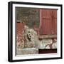 Shuttered Window and Peeling Paint, Spitalfields, London-Richard Bryant-Framed Photographic Print