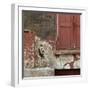 Shuttered Window and Peeling Paint, Spitalfields, London-Richard Bryant-Framed Photographic Print