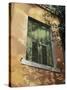 Shuttered Window in Italy, c.1996-Helen J. Vaughn-Stretched Canvas