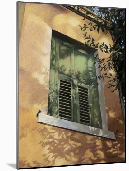 Shuttered Window in Italy, c.1996-Helen J. Vaughn-Mounted Giclee Print