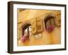 Shuttered Windows and Flowers, Piazza Mercato, Belluno, Province of Belluno, Veneto, Italy, Europe-Frank Fell-Framed Photographic Print