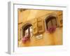 Shuttered Windows and Flowers, Piazza Mercato, Belluno, Province of Belluno, Veneto, Italy, Europe-Frank Fell-Framed Photographic Print