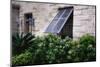 Shutters Of Bermuda-George Oze-Mounted Photographic Print