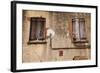 Shutters on an old building along Factors Walk, Savannah, Georgia, USA-Joanne Wells-Framed Photographic Print