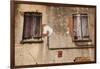 Shutters on an old building along Factors Walk, Savannah, Georgia, USA-Joanne Wells-Framed Photographic Print