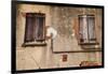 Shutters on an old building along Factors Walk, Savannah, Georgia, USA-Joanne Wells-Framed Photographic Print