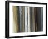 Shutters-Sarah Stockstill-Framed Art Print