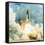 Shuttle Columbia Launch, Mission STS-78, 20.6.96-null-Framed Stretched Canvas