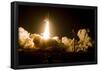 Shuttle Discovery Launch Poster-null-Framed Poster
