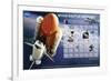 Shuttle Discovery Missions-null-Framed Art Print