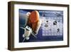 Shuttle Discovery Missions-null-Framed Art Print