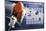 Shuttle Discovery Missions-null-Mounted Art Print