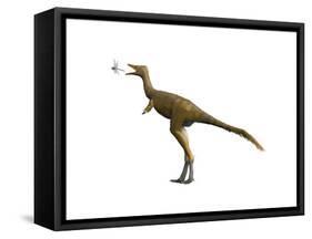 Shuvuuia Dinosaur-null-Framed Stretched Canvas