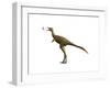 Shuvuuia Dinosaur-null-Framed Art Print