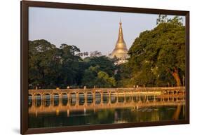 Shwedagon, Kan Daw Gyi Lake and Park, Old City, Yangon (Rangoon), Myanmar (Burma), Asia-Nathalie Cuvelier-Framed Photographic Print