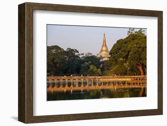 Shwedagon, Kan Daw Gyi Lake and Park, Old City, Yangon (Rangoon), Myanmar (Burma), Asia-Nathalie Cuvelier-Framed Photographic Print