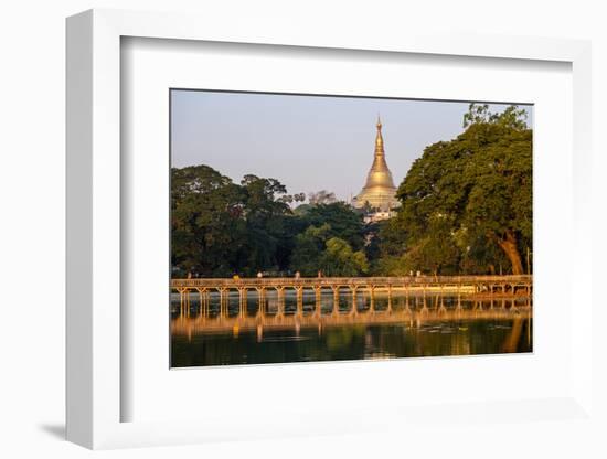 Shwedagon, Kan Daw Gyi Lake and Park, Old City, Yangon (Rangoon), Myanmar (Burma), Asia-Nathalie Cuvelier-Framed Photographic Print