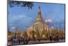 Shwedagon Pagoda, Yangon (Rangoon), Myanmar (Burma), Asia-Peter Schickert-Mounted Photographic Print