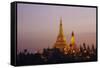 Shwedagon Paya, Yangon (Rangoon), Myanmar (Burma), Asia-Tuul-Framed Stretched Canvas