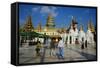 Shwedagon Paya, Yangon (Rangoon), Myanmar (Burma), Asia-Tuul-Framed Stretched Canvas