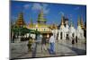 Shwedagon Paya, Yangon (Rangoon), Myanmar (Burma), Asia-Tuul-Mounted Photographic Print