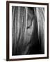 Shy Crop-Aledanda-Framed Art Print