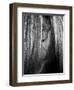 Shy Crop-Aledanda-Framed Premium Giclee Print