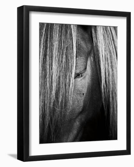 Shy Crop-Aledanda-Framed Art Print