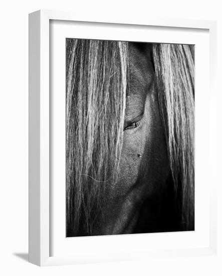 Shy Crop-Aledanda-Framed Art Print