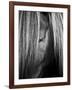 Shy Crop-Aledanda-Framed Art Print